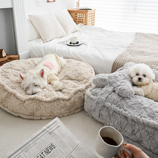 Choosing The Right Dog Bed