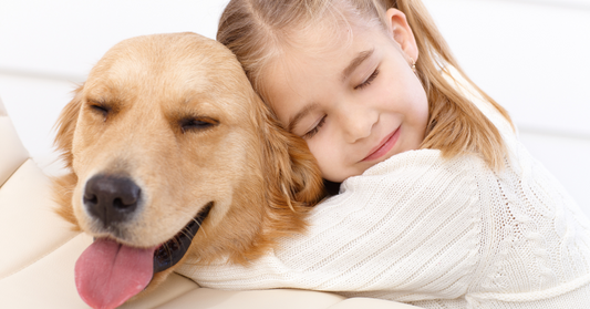 Furry Fields Guide: Tender Loving Care for Your Canine and Feline Friends