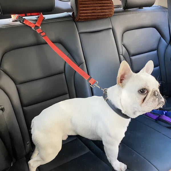 Top 10 Adjustable Dog Seat Belts on the Market