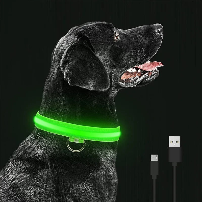 LED Rechargeable Glow Luminous Waterproof Adjustable Safety Dog Collar