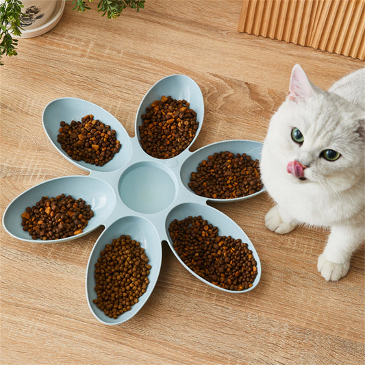 a cat using the elevated cat & dog bowl in blue color