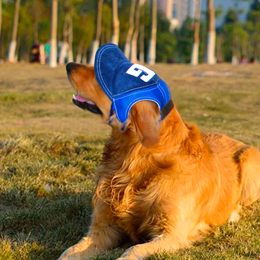 Dog Sunscreen Hat with Ear Holes - Adjustable Baseball Cap for Small & Medium Dogs