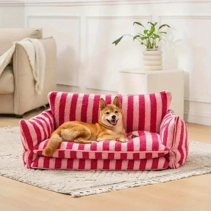 Pet relaxing on orthopedic dog sofa bed in a stylish home.
