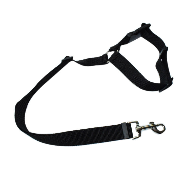 Adjustable Dog Leash for walking and car safety.