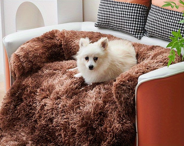 A white dog lying on a Soft, plush dog bed 