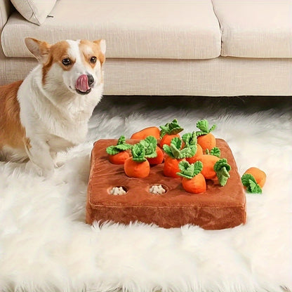 a dog with the plush carrot toy