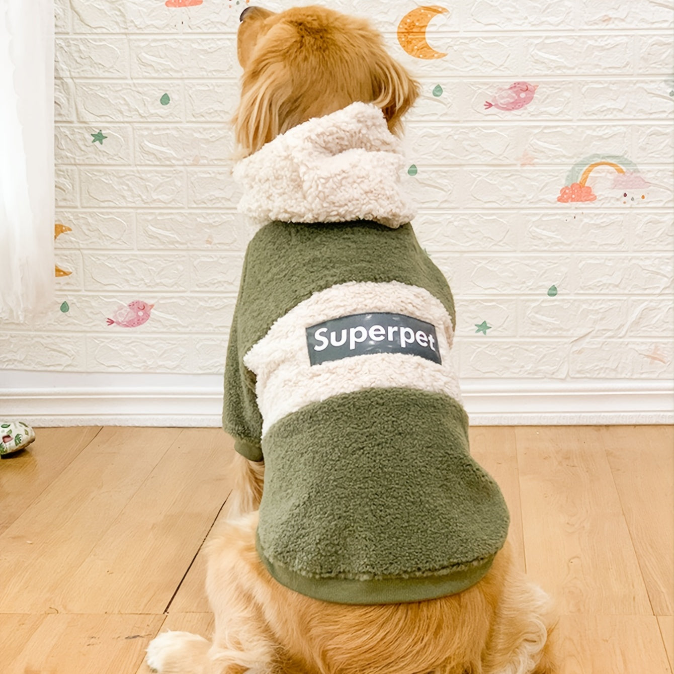 A Dog sitting and wearing the warm fleece pet hoodie