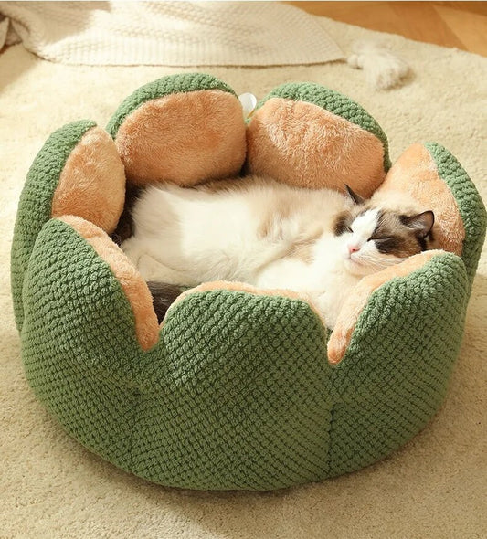 Unique cactus-themed flower-shaped round cat bed.