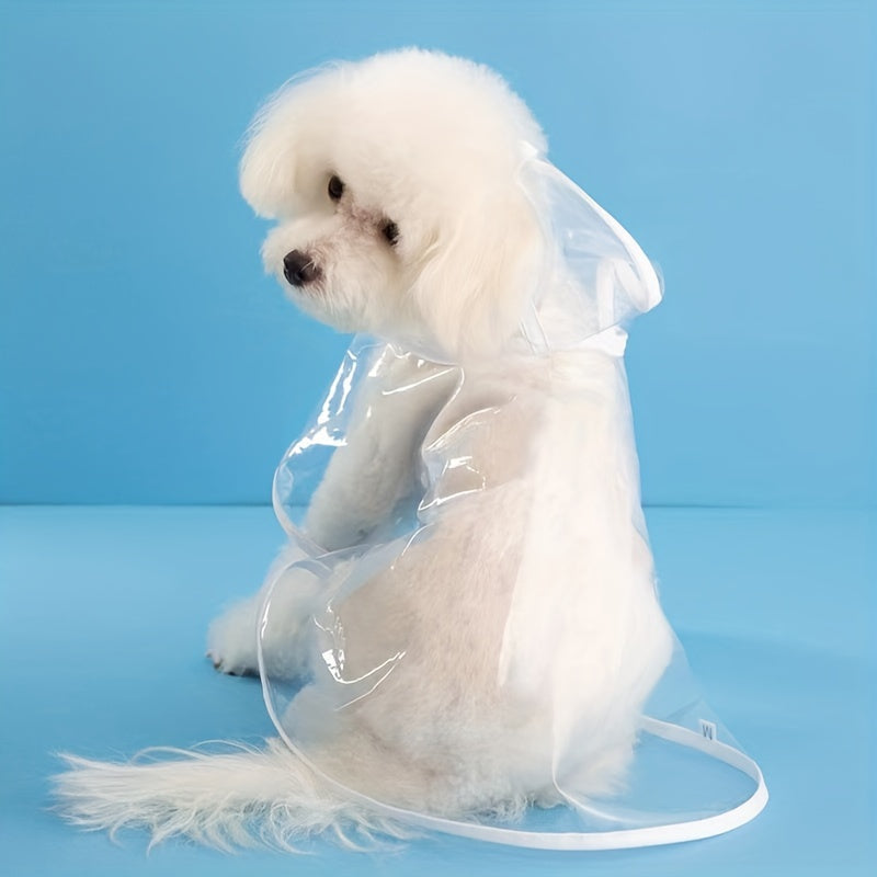 "Small white dog from behind in a clear raincoat with white stitching."
