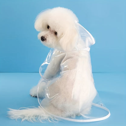 "Small white dog from behind in a clear raincoat with white stitching."
