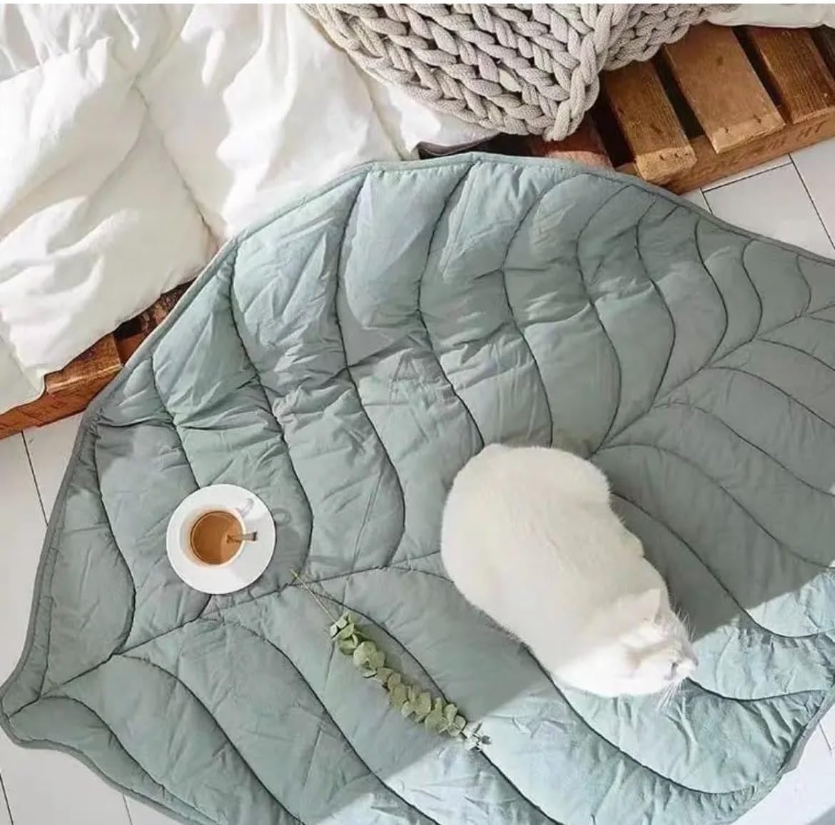 "Cat curled up on a light green leaf-patterned washable pet mat on the floor."
