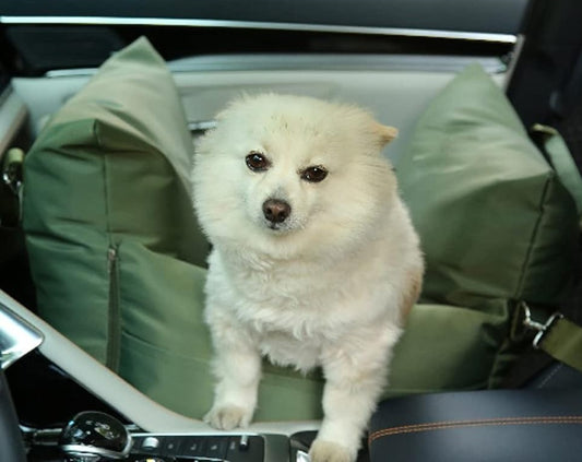 "Small dog snug in a green safety travel bolster bed in car."
