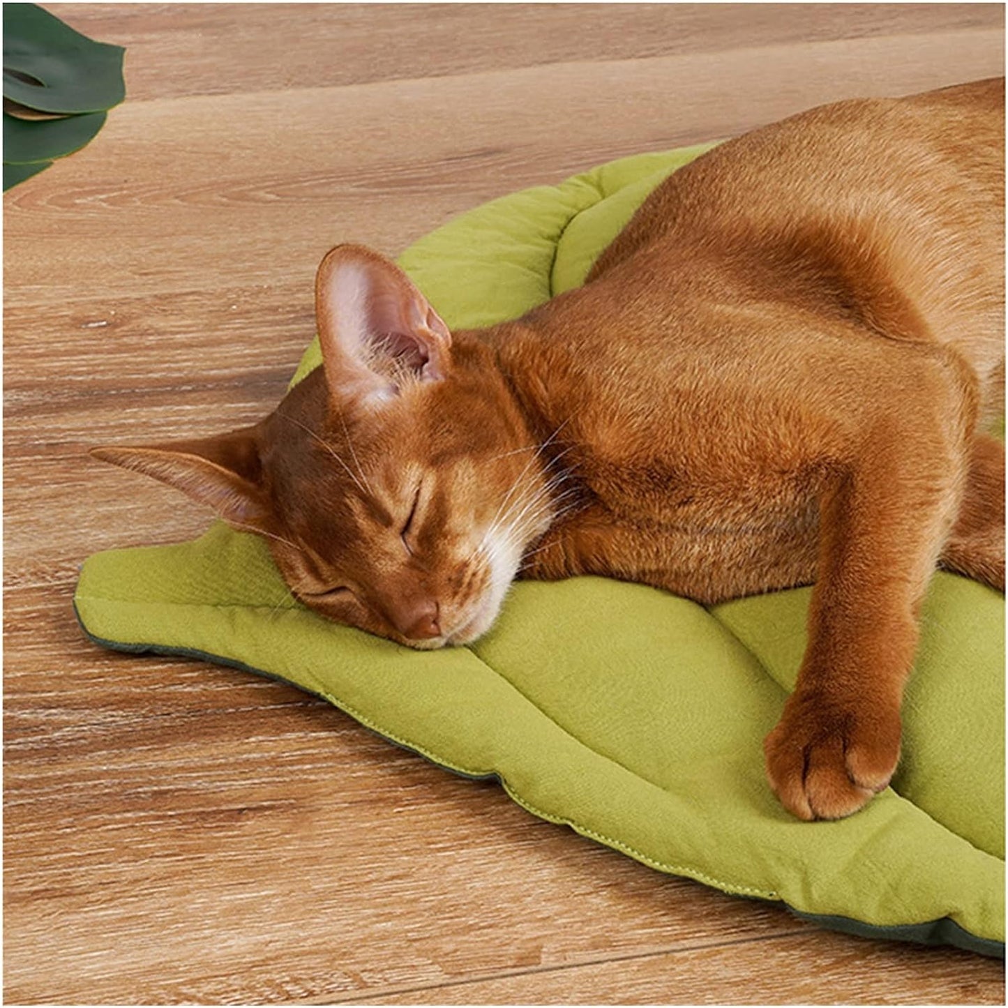 Reversible 2 tone Natures Leaf Washable Pet Blanket Mat