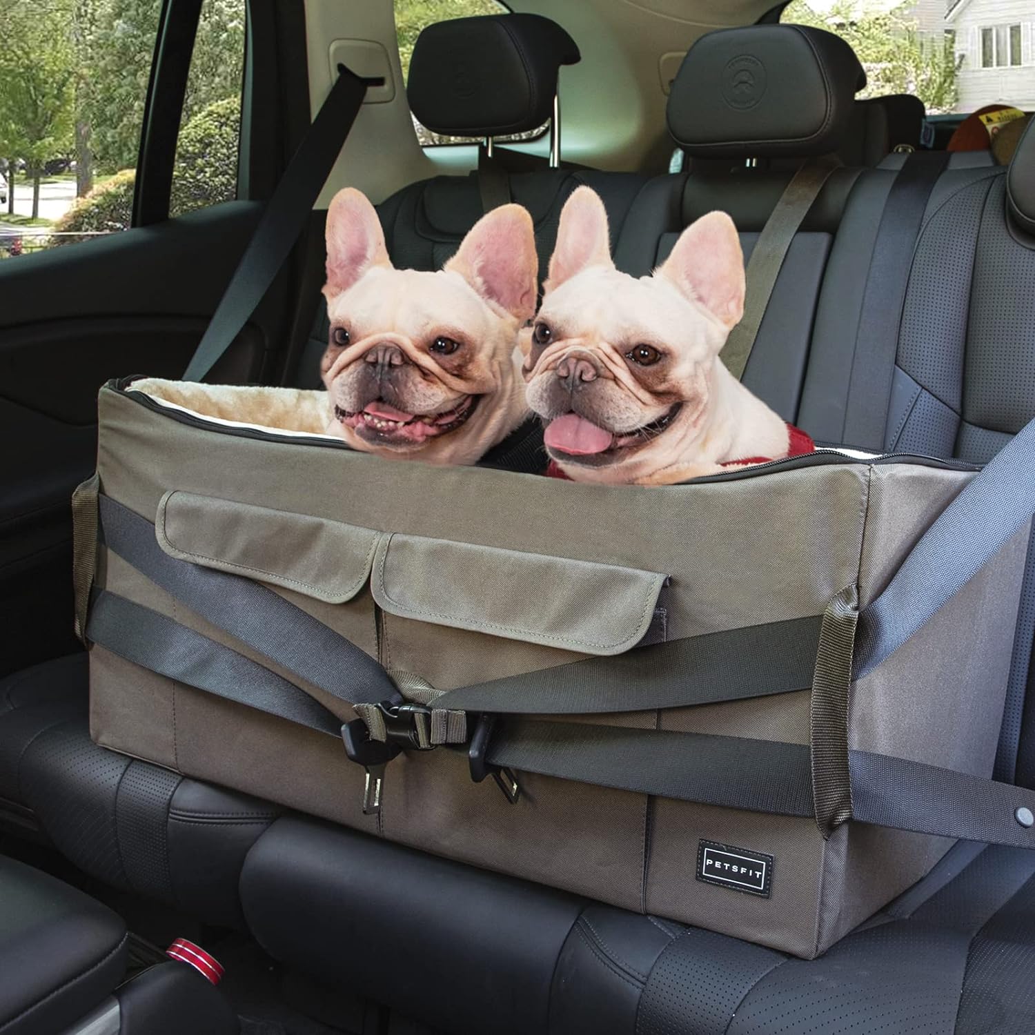 A car booster seat fitted on a car seat with 2 dog sitting inside, secured with a seat belt.