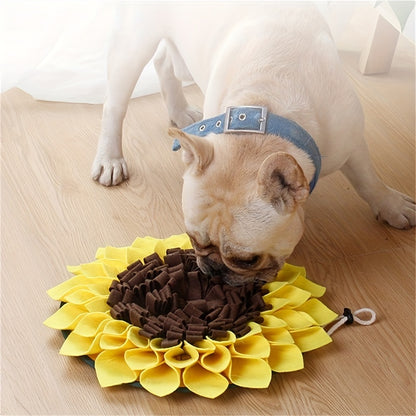 Interactive pet feeder for dogs
