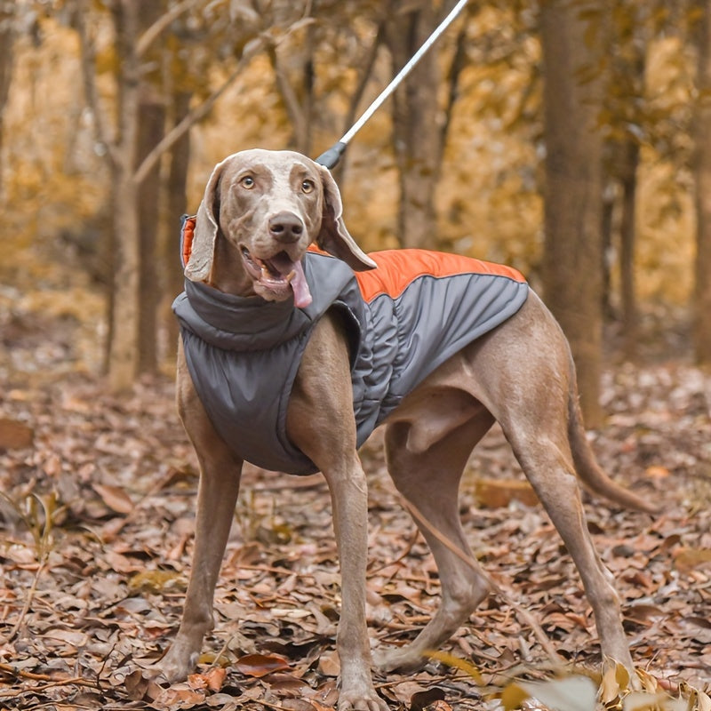 Dog Jacket Ideal for Cold Weather Protection