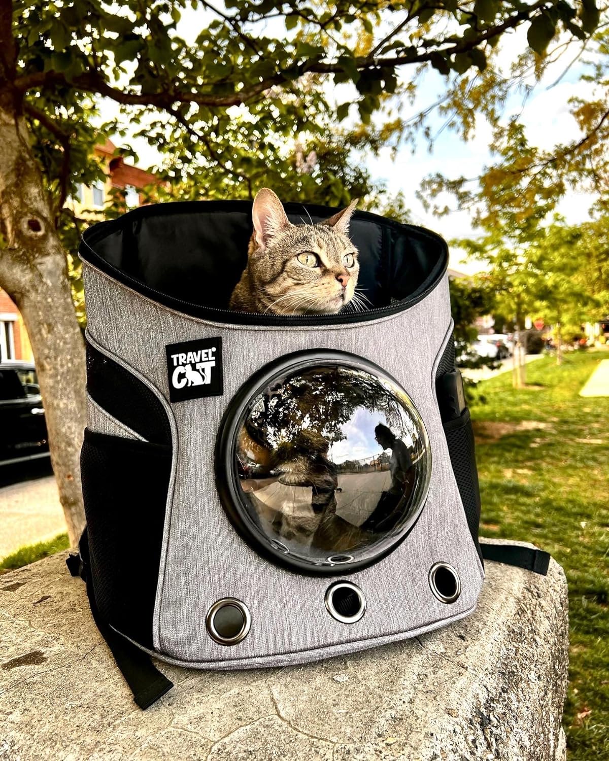 Premium Airline-Approved Cat Backpack Carrier with Space Capsule Bubble