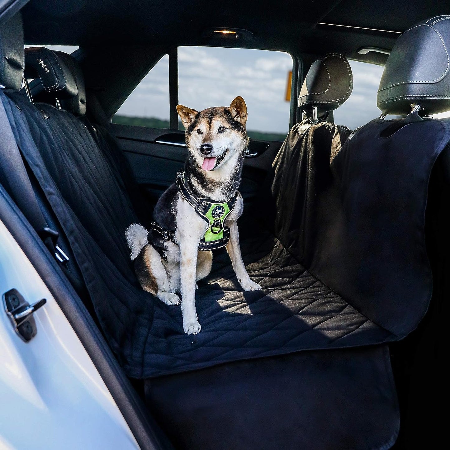 "Dog on waterproof seat cover looking at camera."