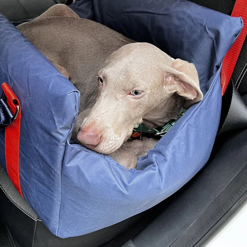 Trendy Pet Waterproof Safety Front Seat Carrier