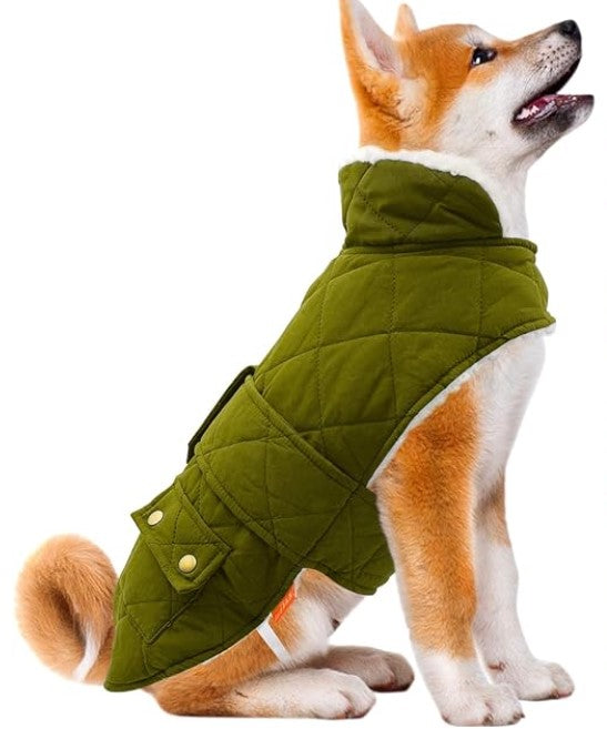 Warm Dog Jacket in Army Green Color