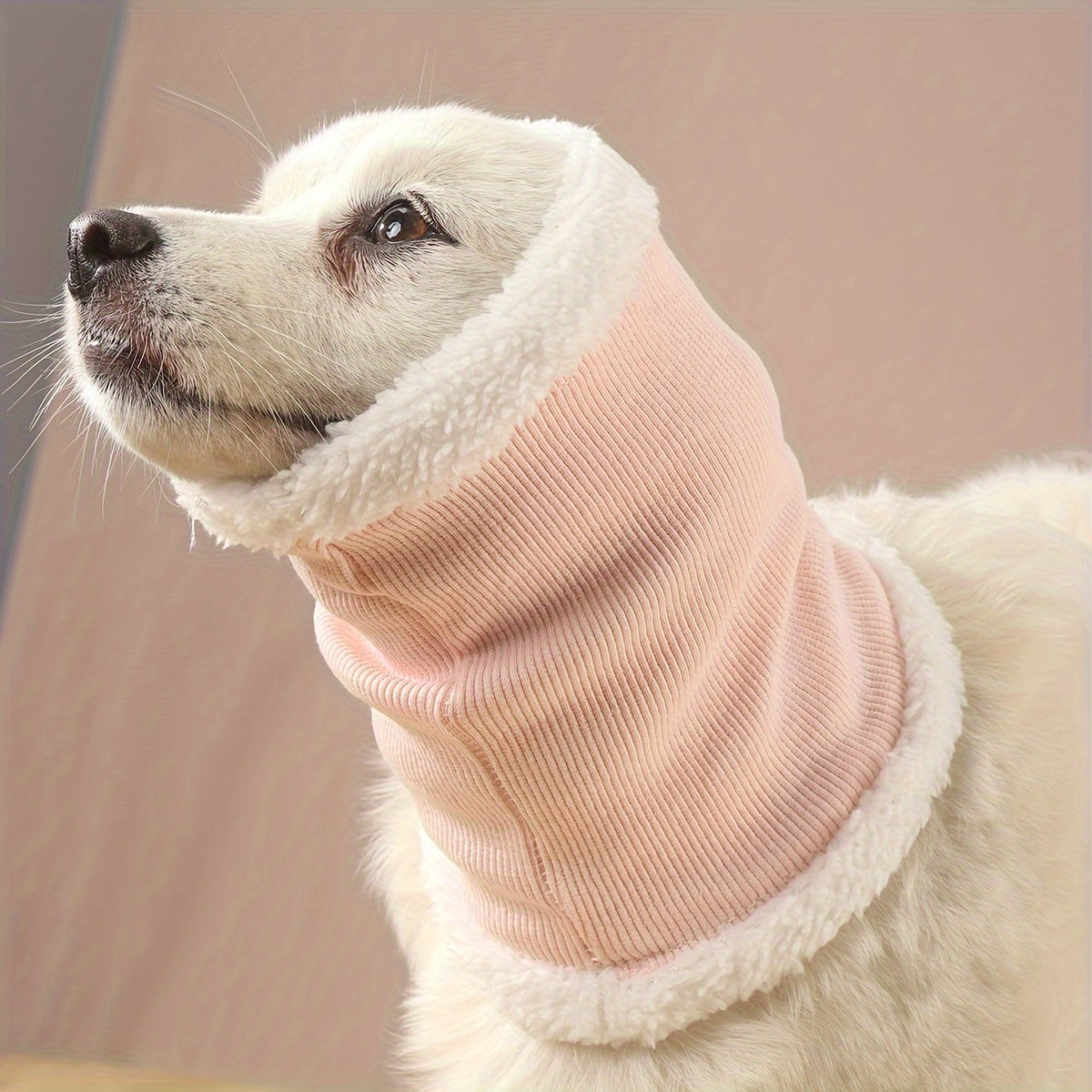 Fashionable dog wearing ear protection headgear outdoors in pink color