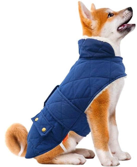 Warm Dog Jacket in Blue Color