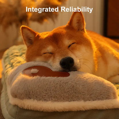 "Close-up of a corgi's head on a pillow, highlighting the bed's supportive comfort."