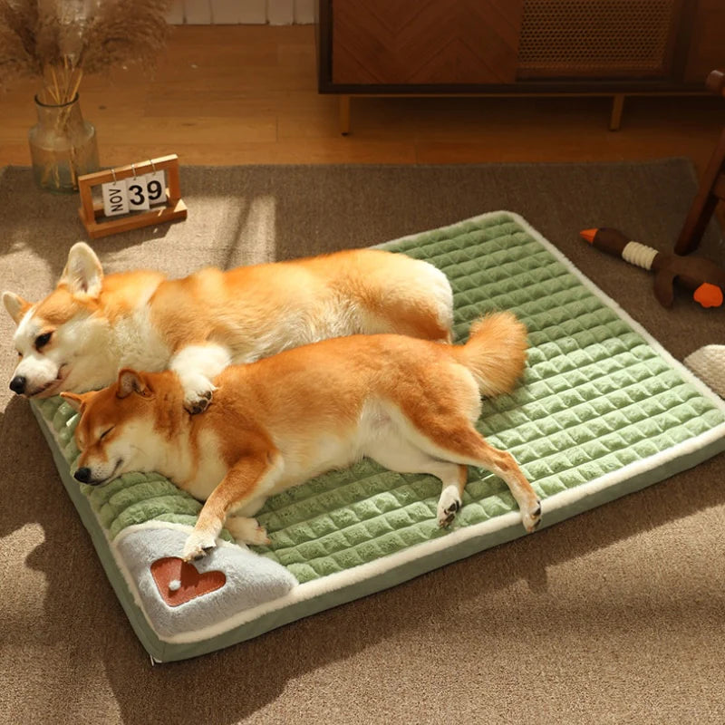 "Two dogs resting their heads on pillows of their orthopedic bed, epitomizing relaxation."