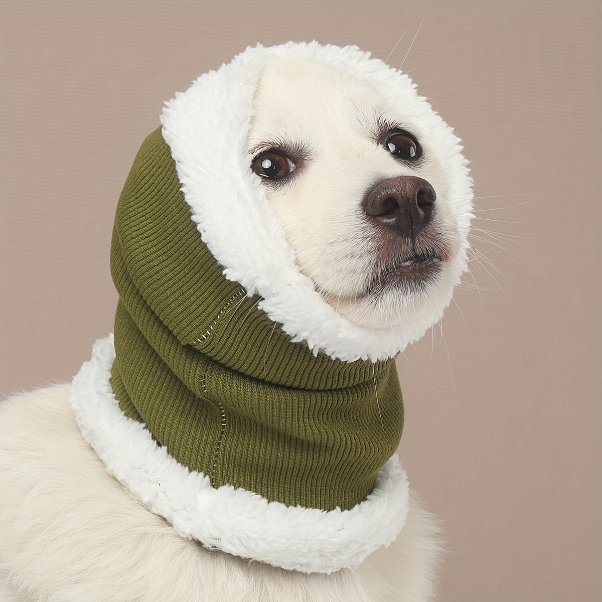 Fashionable dog wearing ear protection headgear outdoors in matcha color