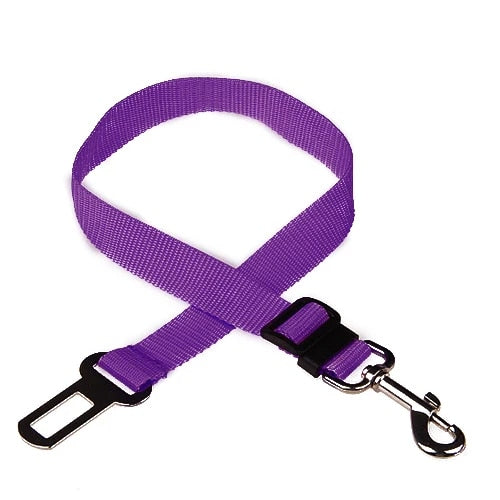 purple dog seat belt