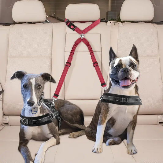 2 dogs sitting on rear car seat with the dual dog seat belt