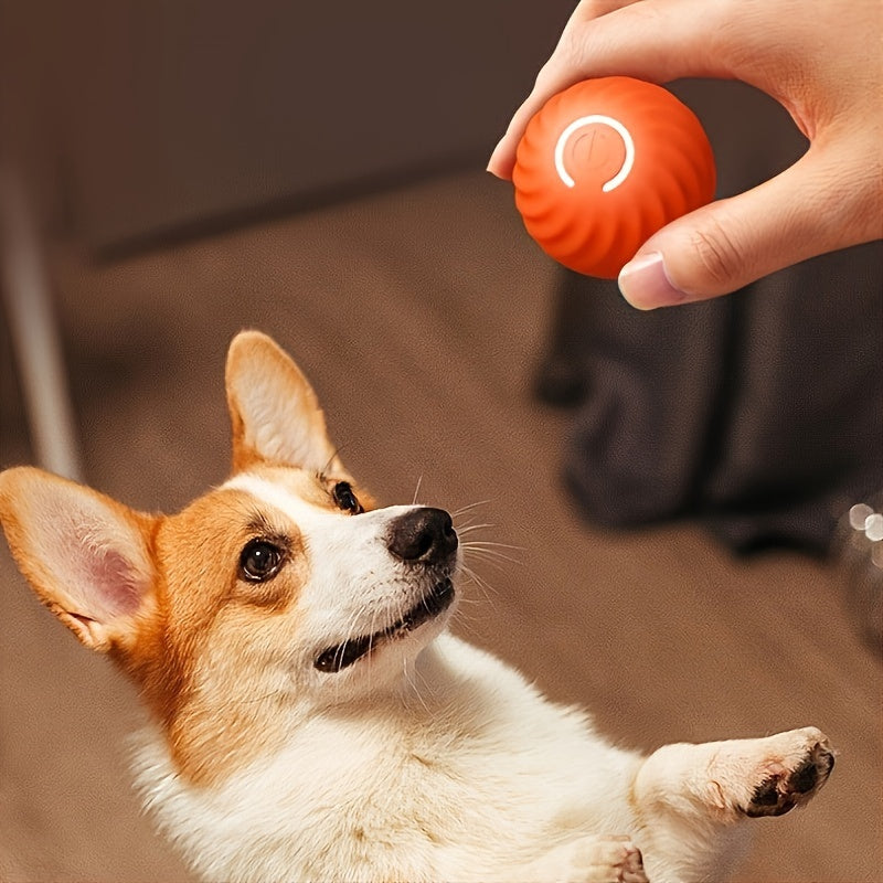 Rechargeable auto-rolling toy ball designed specifically for small breed dogs in orange color