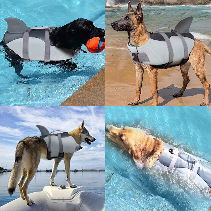 "Four dogs in the water, each wearing the safety vest, demonstrating its use and buoyancy."
