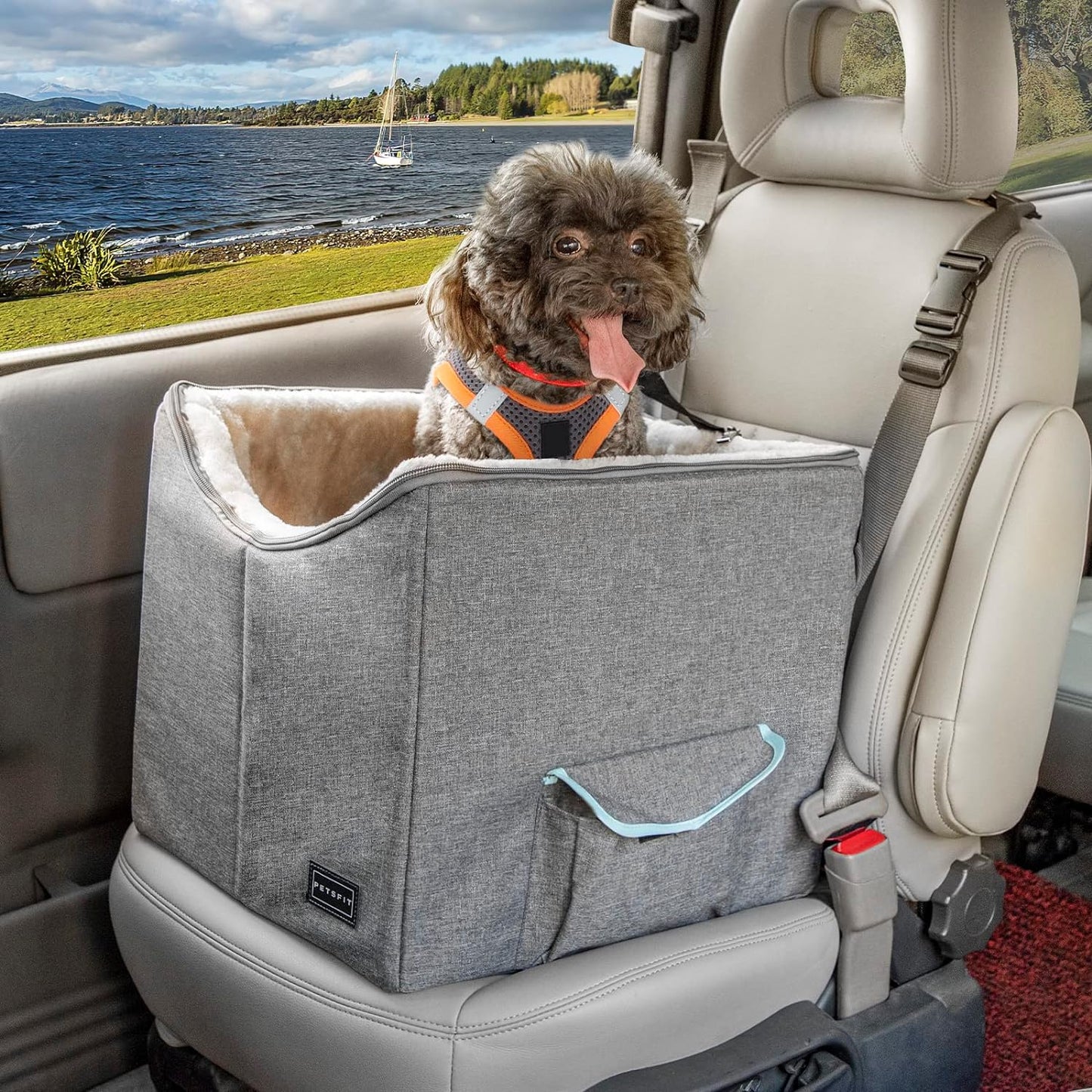 A car booster seat in a light gray color holding a small dog 