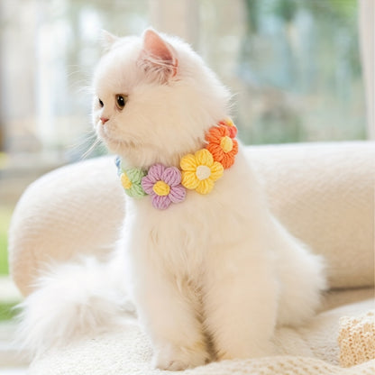 a cat wearing the Chic 3D Flower Knit Cat Collar