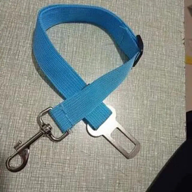 blue dog seat belt