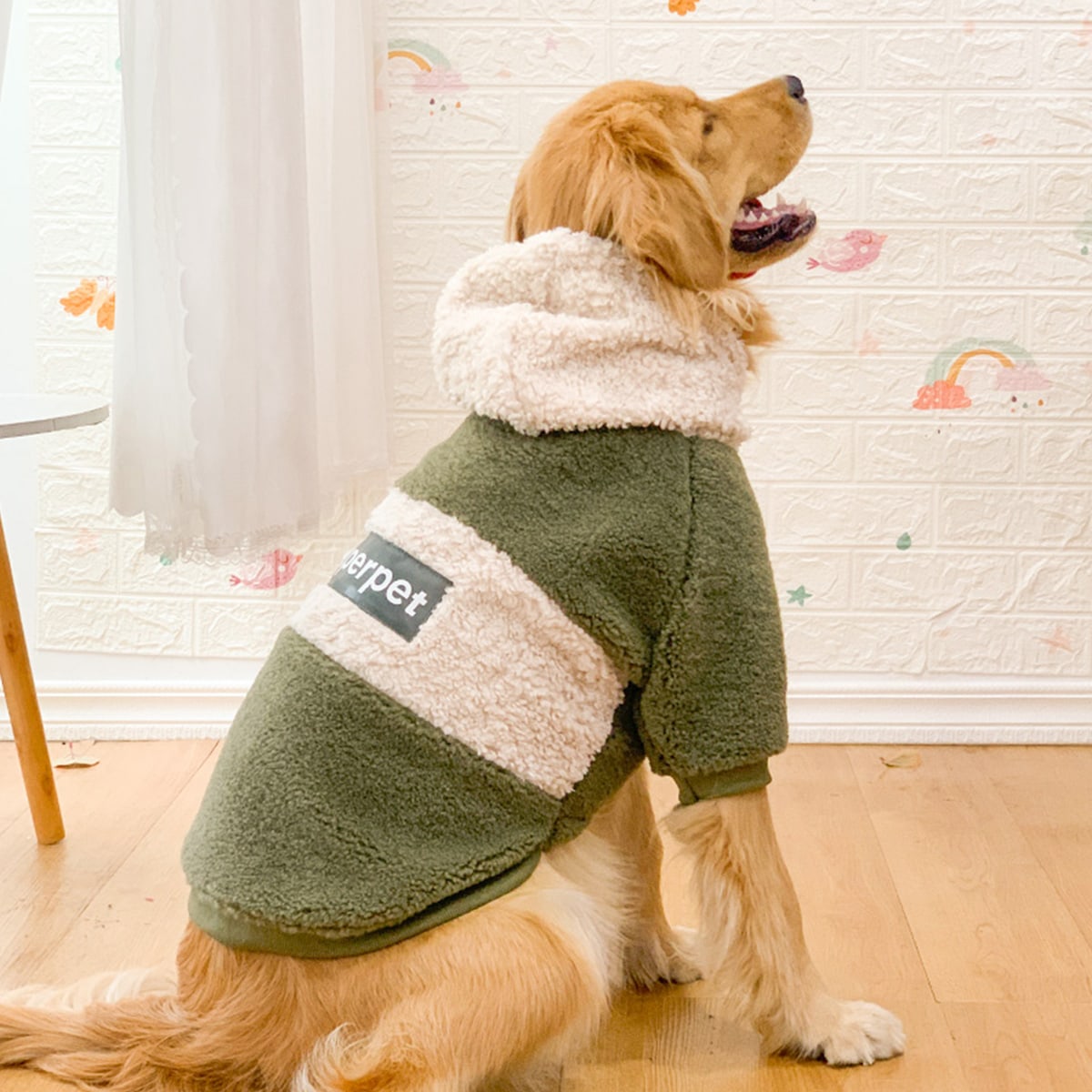 A golden retriever facing away from the camera, wearing a cozy green dog coat