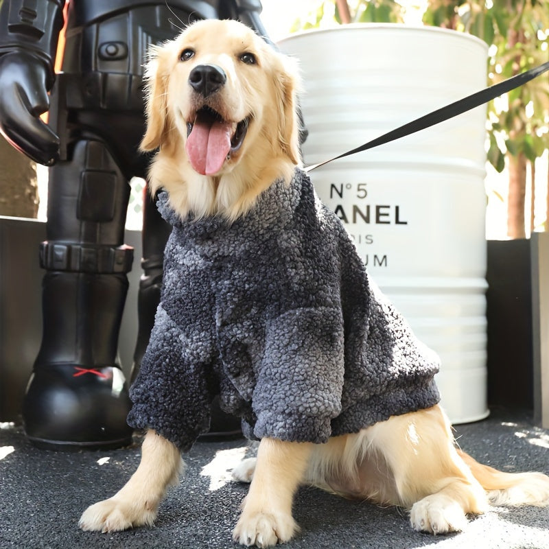 Dog happily sporting our winter dog sweater with snap fasteners