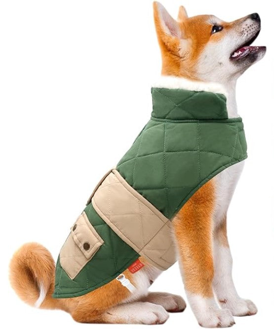 Warm Dog Jacket in Green Color