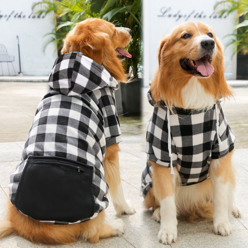 "Two Goldens in black and white plaid coats, posing together."