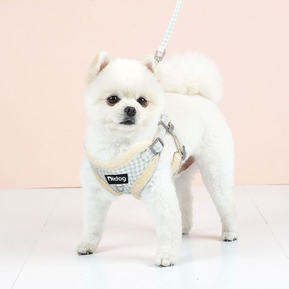 Classic Gingham Harness for Small Dogs with Treat Bag & Walking Lead