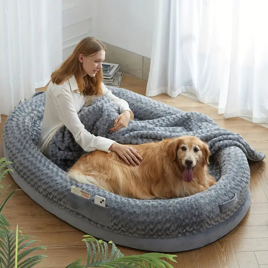 Lady & Golden Retriever, Dog Lying Down enjoying Large Human-Sized Dog Bed with Cozy Blanket.
