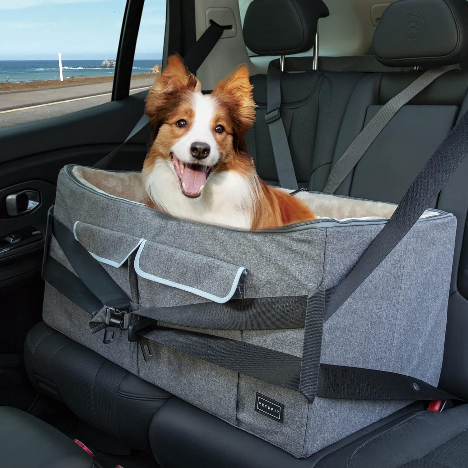 a booster seat secured to the back seat of a car