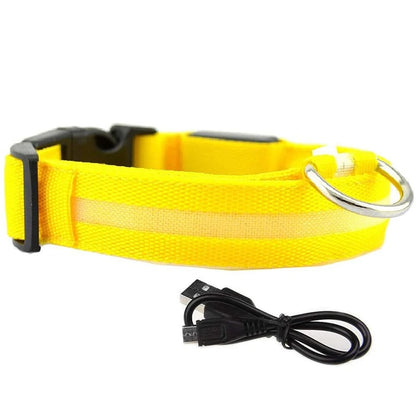 LED Rechargeable Glow Luminous Waterproof Adjustable Safety Dog Collar