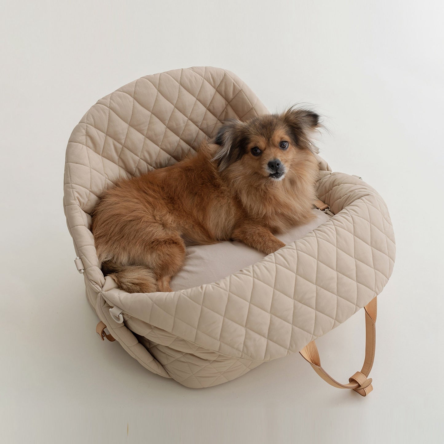 Pet tote and car seat in beige color.