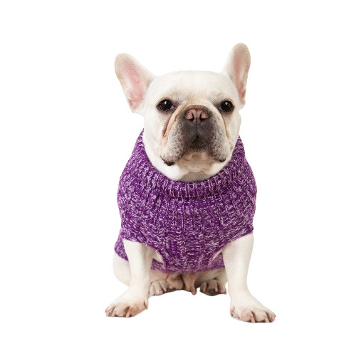 Purple Cozy Knitted Winter Sweater