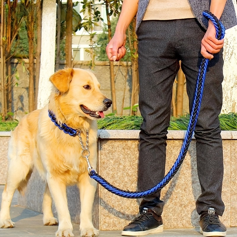 Happy dog on a walk using the Nylon Eight-strand Braided Pro-rope Leash and Collar Set.