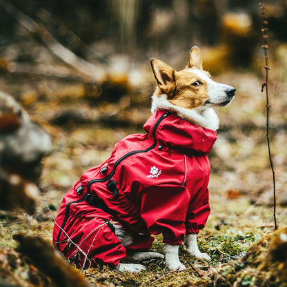 Waterproof Dog Raincoat - Fits Small, Medium, and Large Breeds