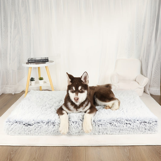 Dog bed orthopedic design for small, medium, and large pets