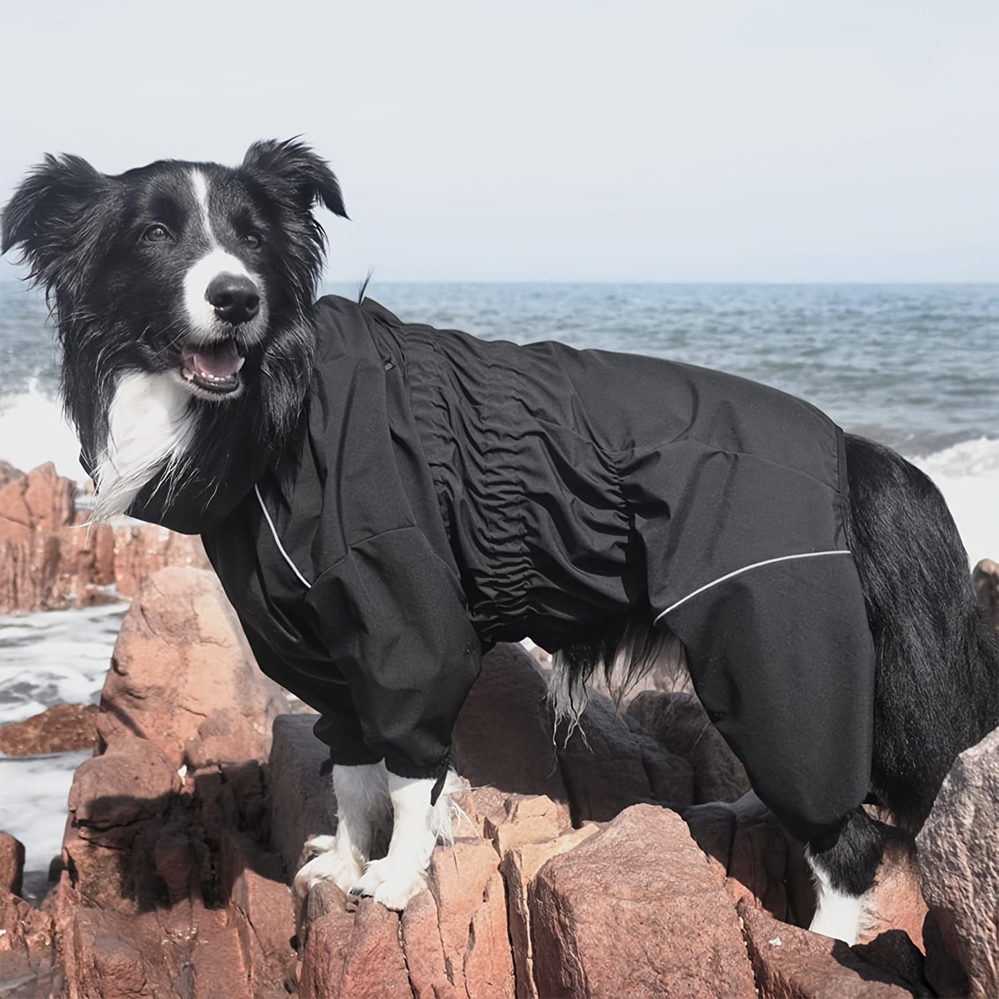 Waterproof Dog Raincoat - Fits Small, Medium, and Large Breeds